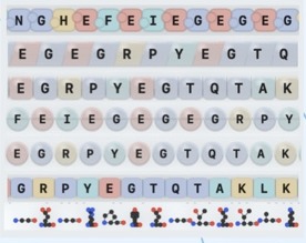 RayCrest amino acid glyph style preview