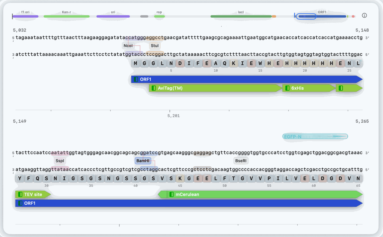 RayCrest MDS sequence workspace screenshot