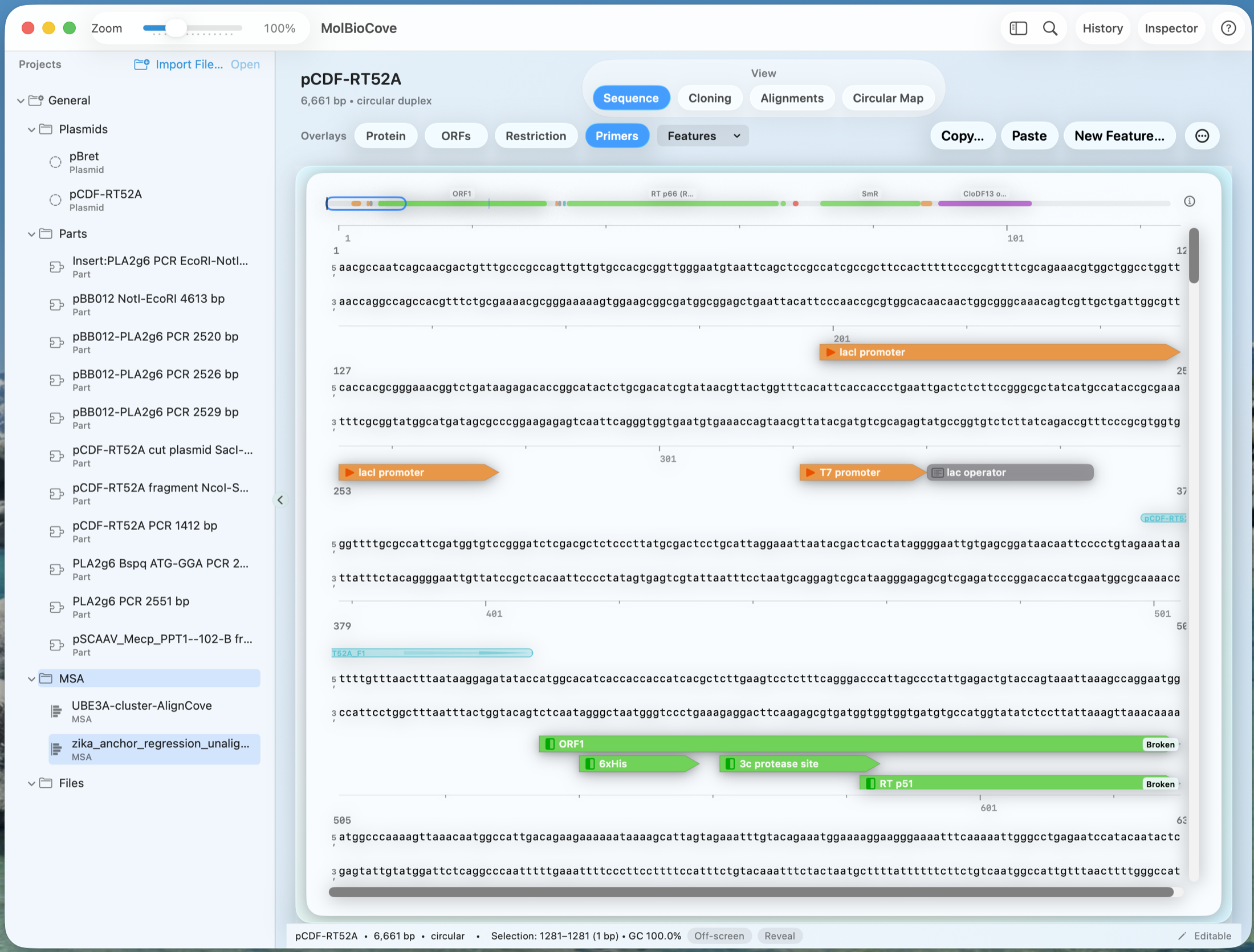 MolBioCove sequence workspace screenshot