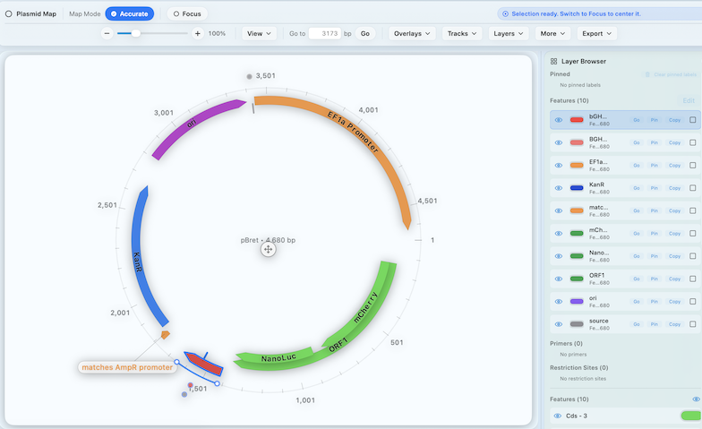 RayCrest plasmid map editor with layer controls and export options