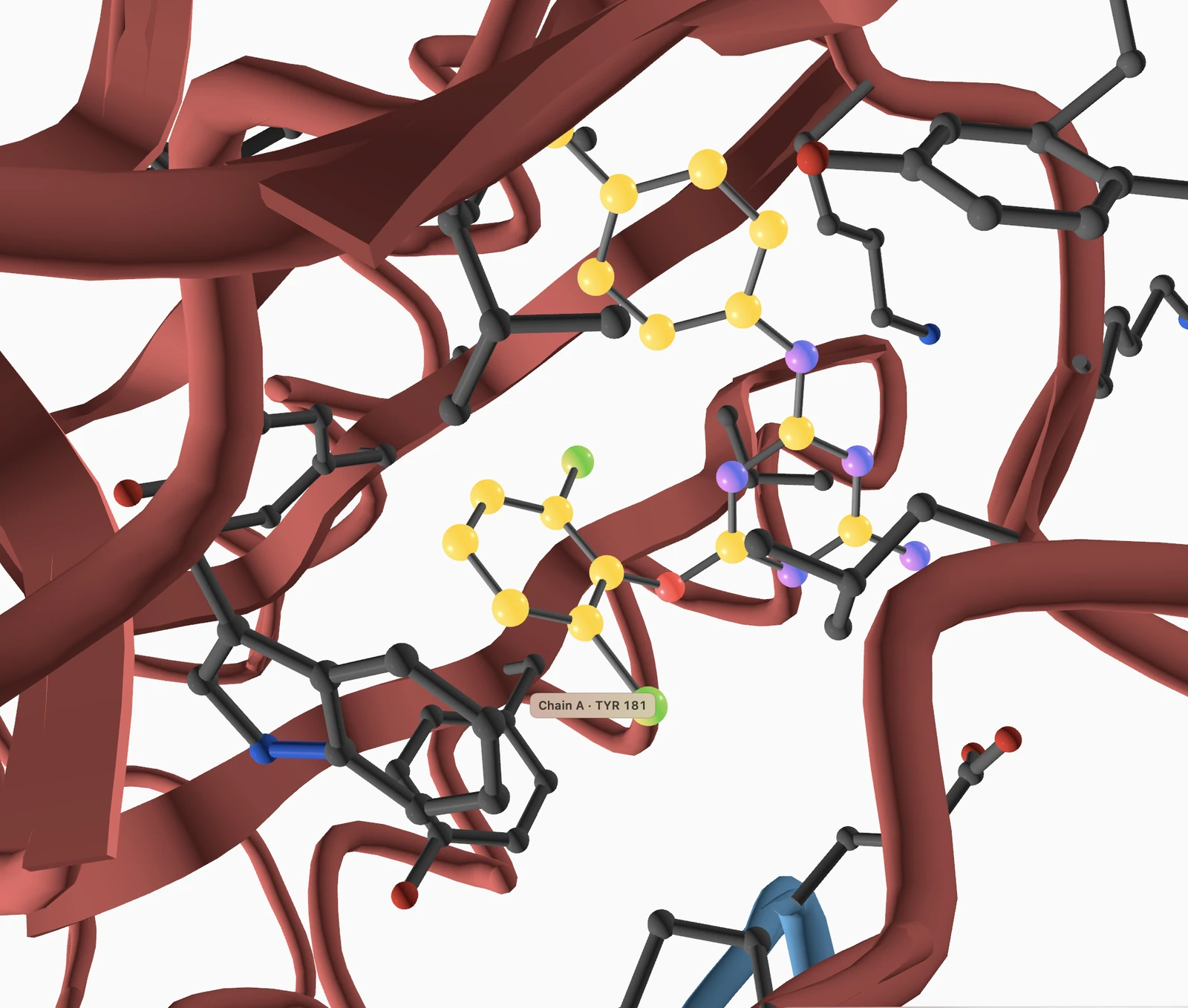 Protein structure view with a selected residue in molecular context