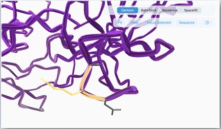 RayCrest protein structure view with selected residue context