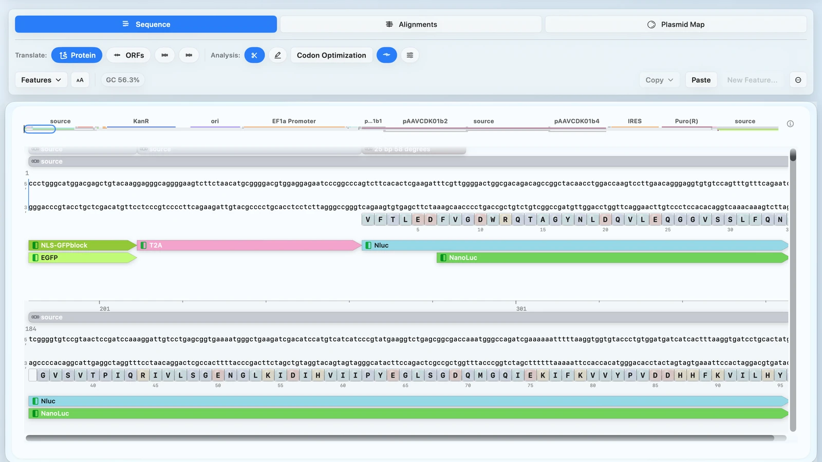 RayCrest MDS sequence workspace with a construct open