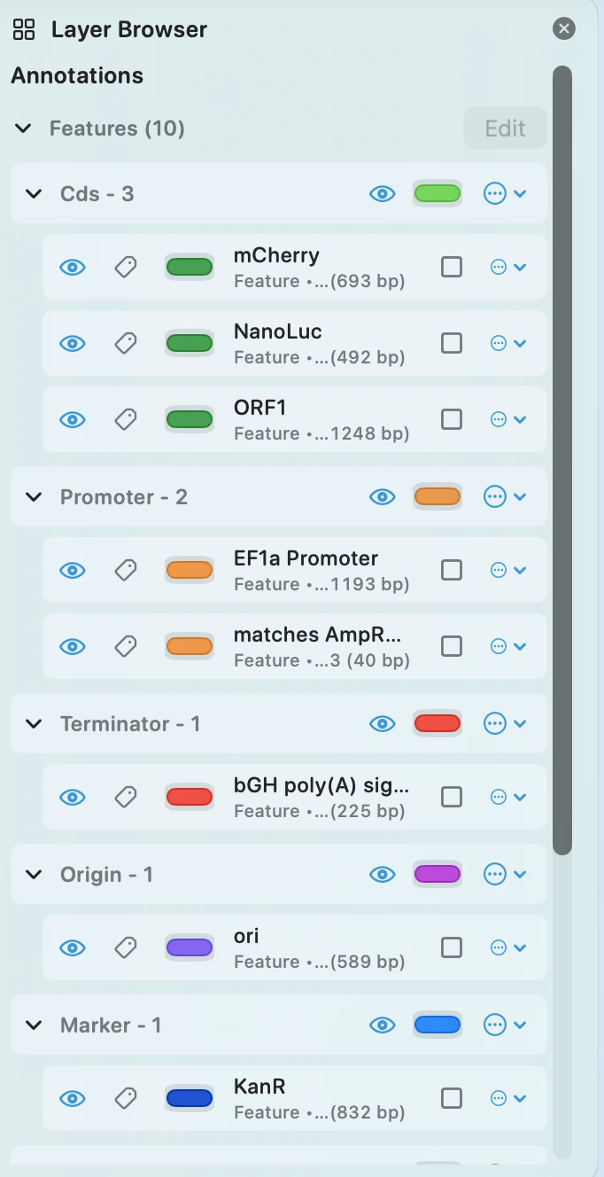Layer Browser showing plasmid annotations and visibility controls