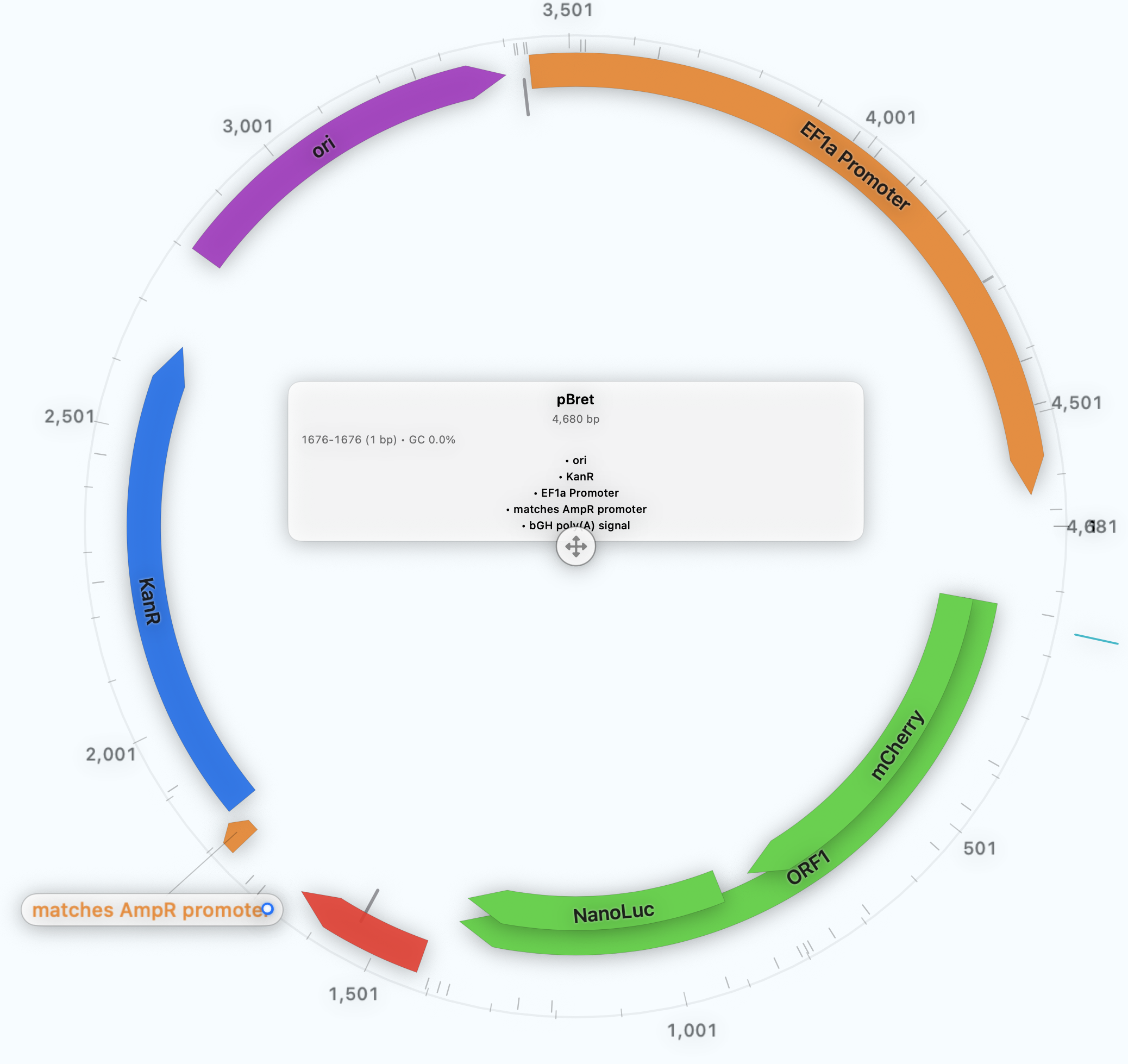 Circular plasmid map output (presentation quality)