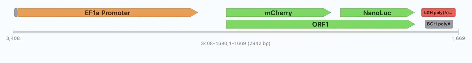 High-quality linear map output
