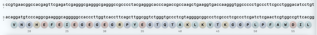 Illustration representing protein-sequence input