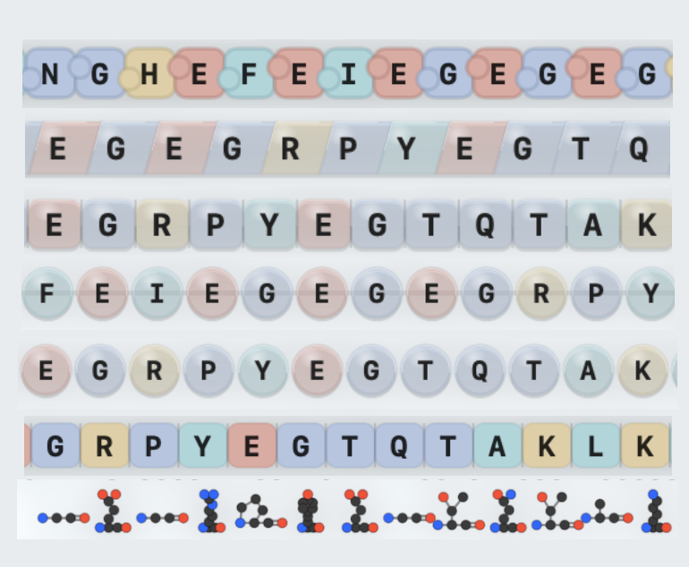 Protein sequence rendering styles (combined preview)