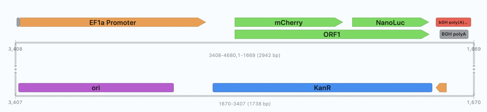 Rectangular map highlighting selected sequence parts