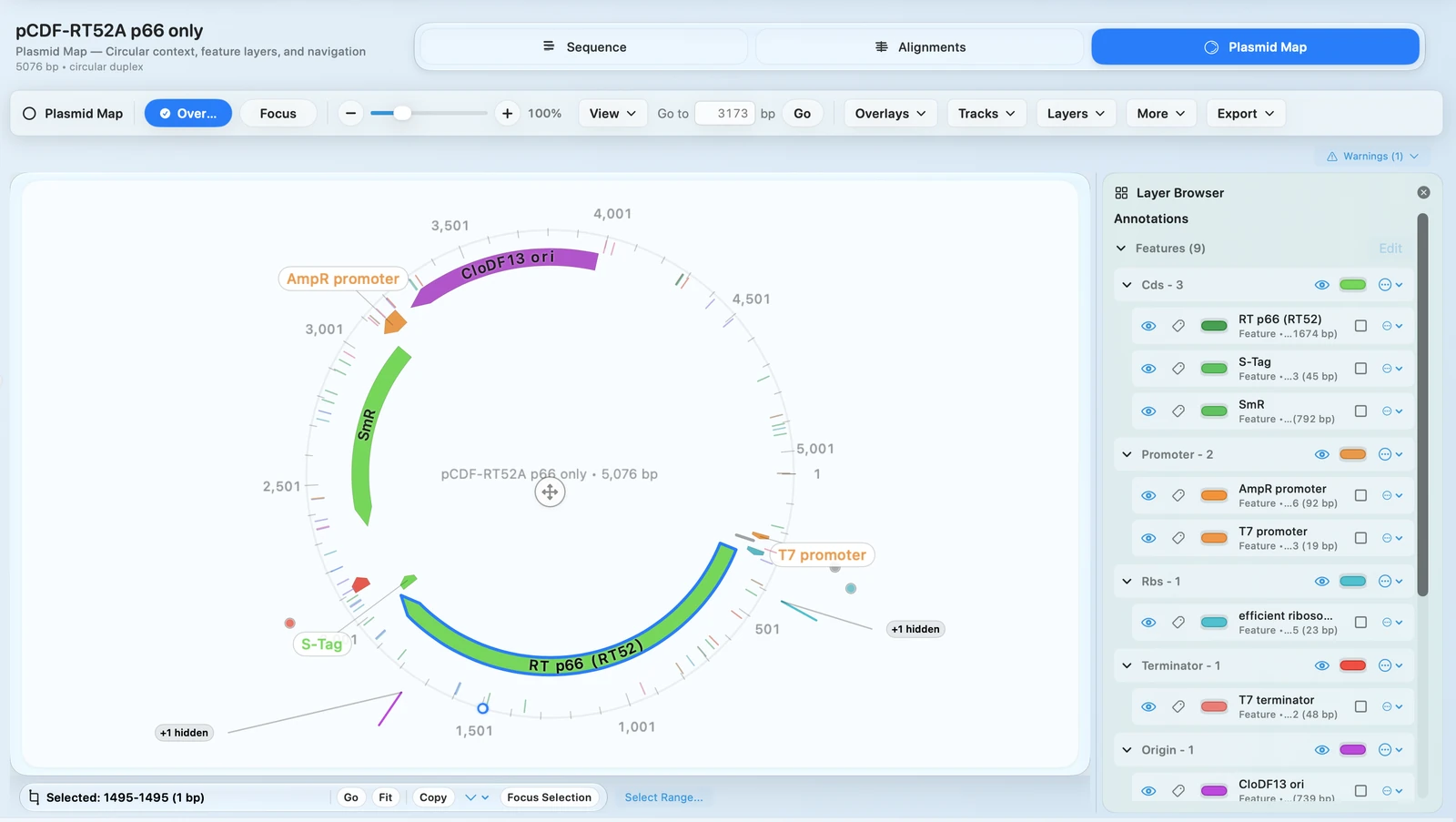 Circular map export view in RayCrest MDS