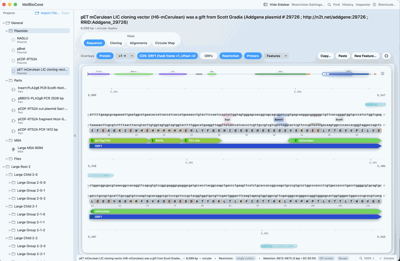 Sequence workspace with a sequence open