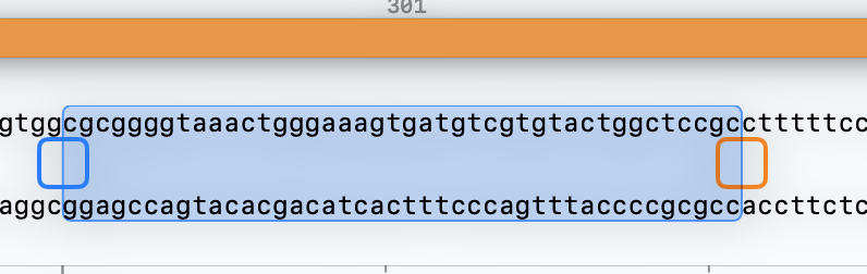 Selected region in Sequence view