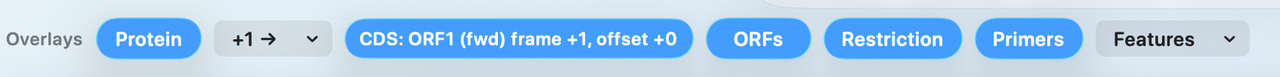 Sequence workspace with overlays enabled for coding-sequence design