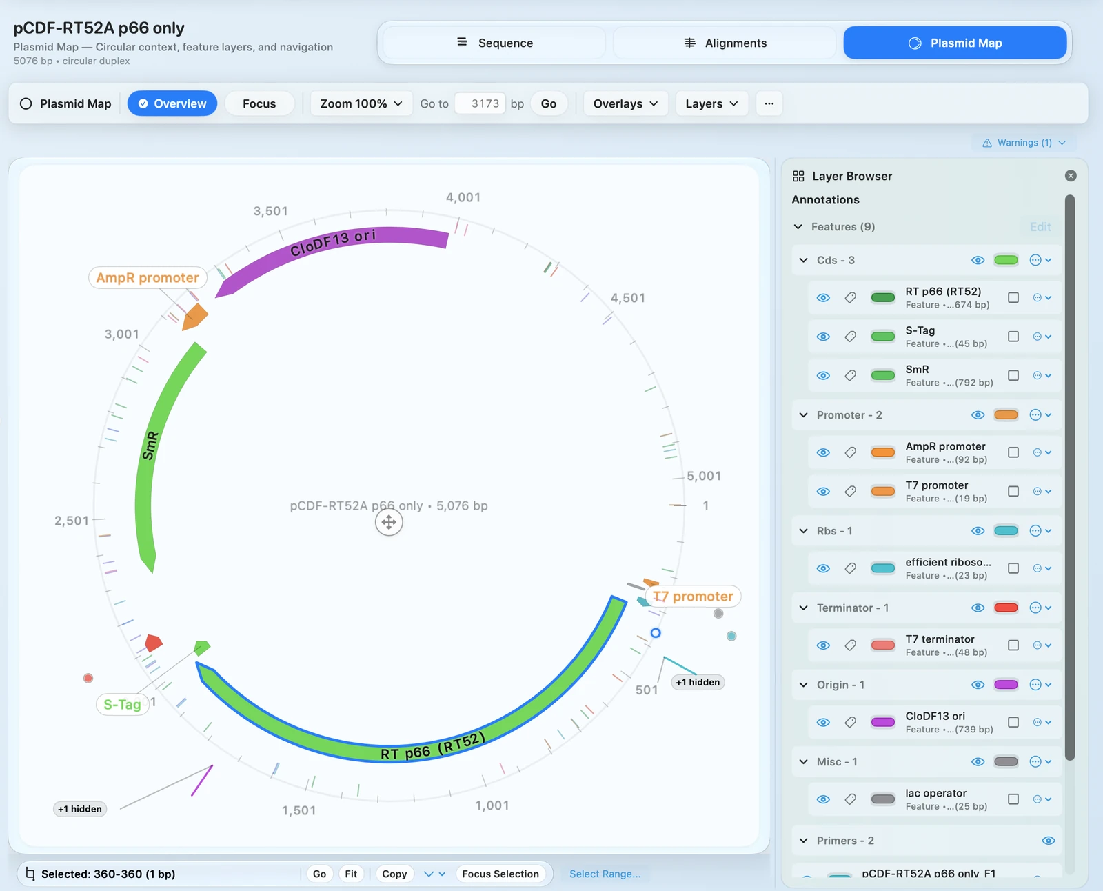 Circular plasmid map view