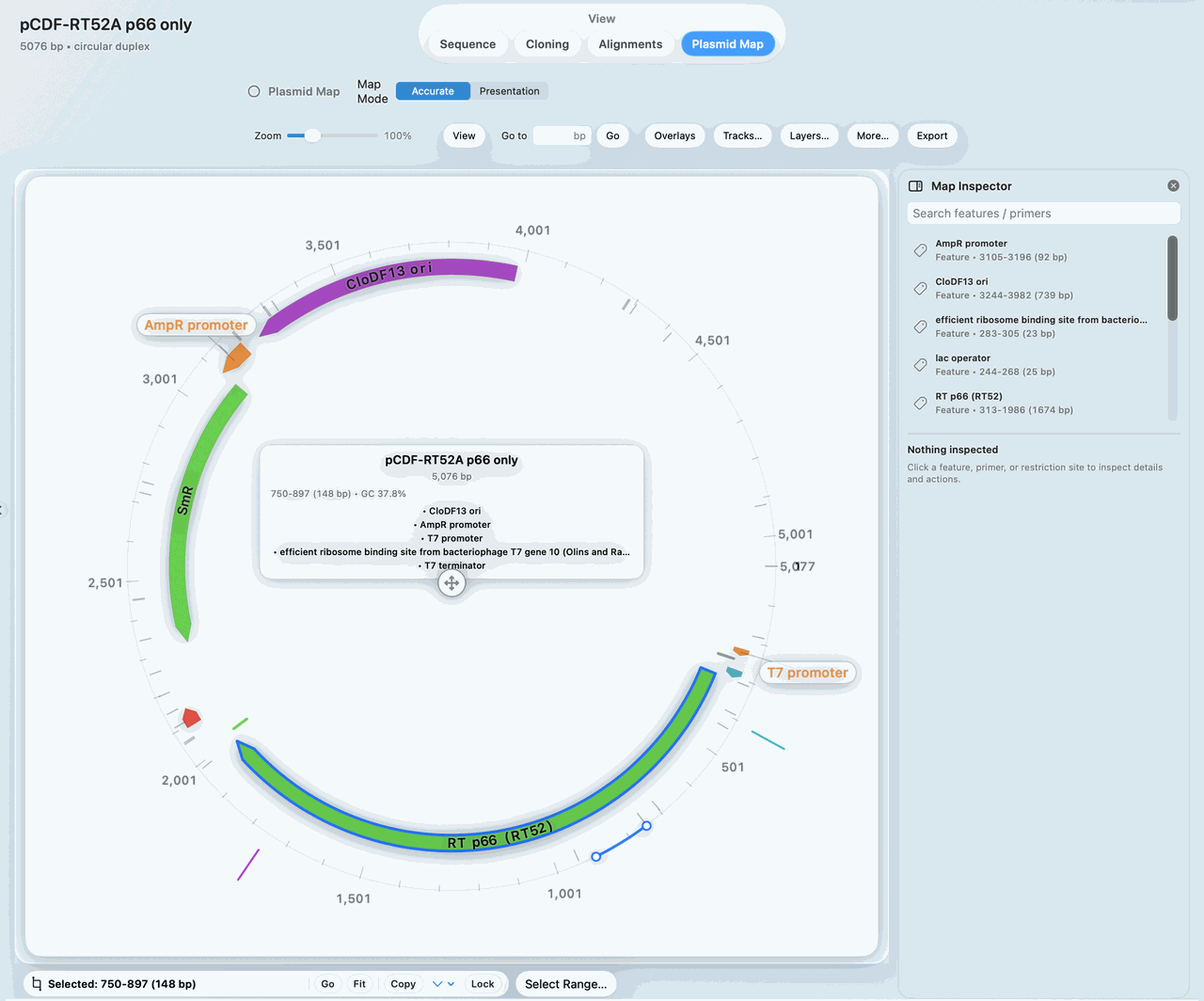 Circular plasmid map view